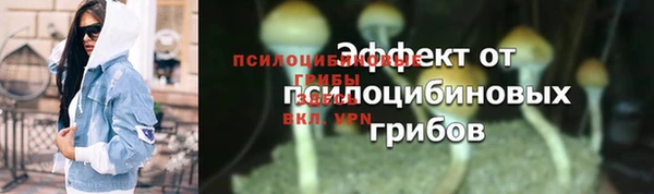 гидра Красноперекопск