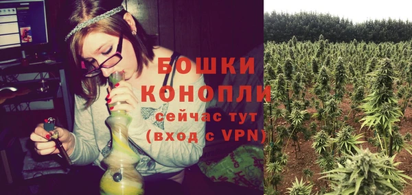 гидра Красноперекопск