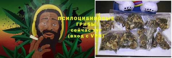 гидра Красноперекопск