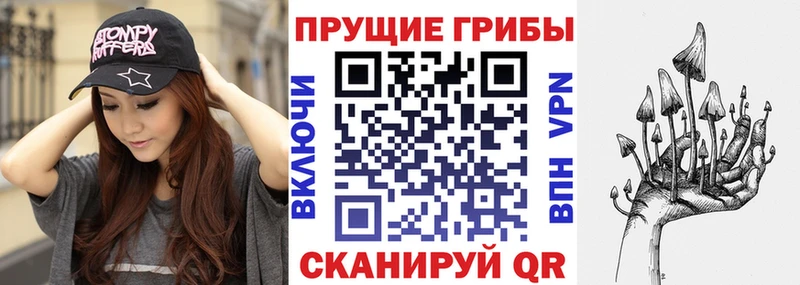Псилоцибиновые грибы мухоморы  Купить закладки  Ивангород 